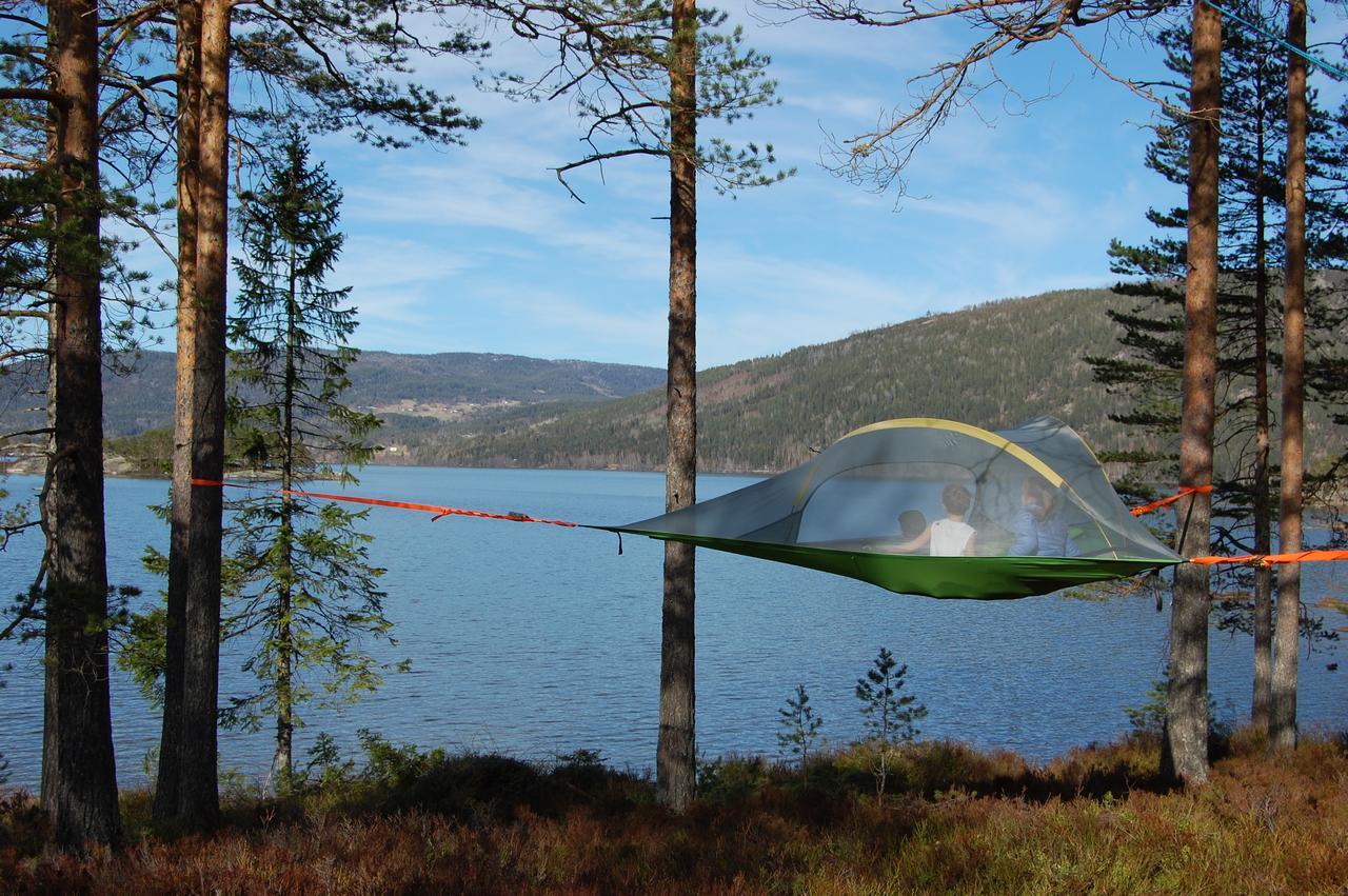 Nisser Hyttegrend Og Lodge Fjone