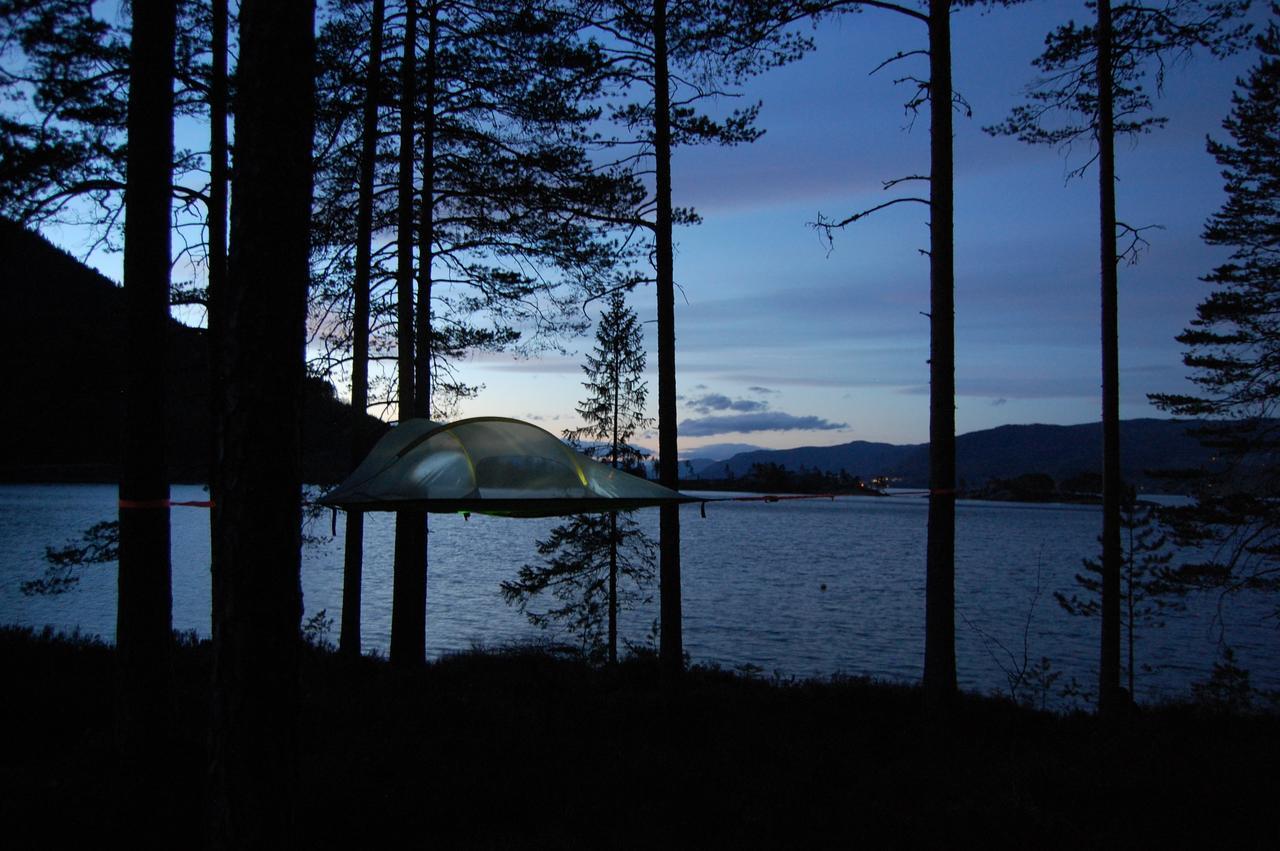 Nisser Hyttegrend Og Lodge Fjone